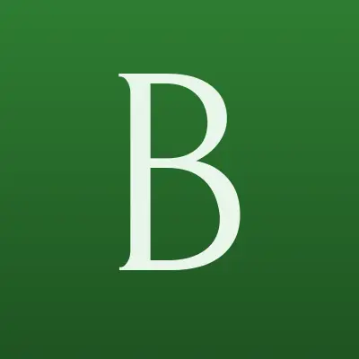 Balance.pnz, бухгалтерская компания, лого-визитка