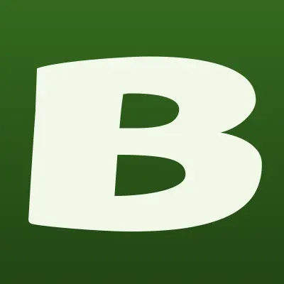 Bershka, магазин, лого-визитка