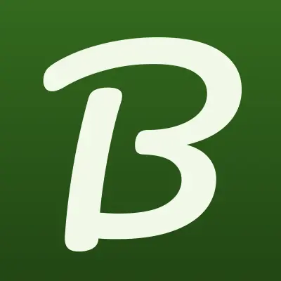 Borsa, лого-визитка