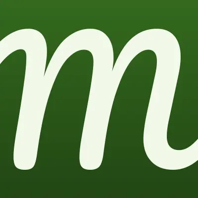 MIZOTTY, производственно-торговая компания, лого-визитка