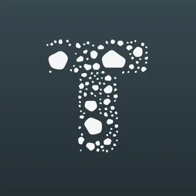 TonerPNZ, центр автосервиса, лого-визитка